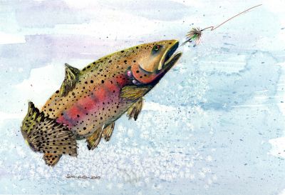 300-383 Brown Trout on Nymph